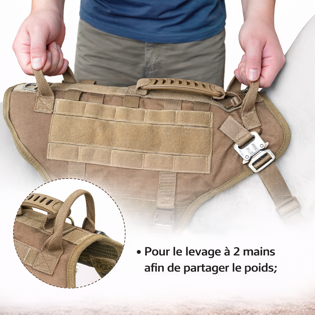Harnais tactique militaire MOLLE grand chien — coloris militaire et tailles disponibles