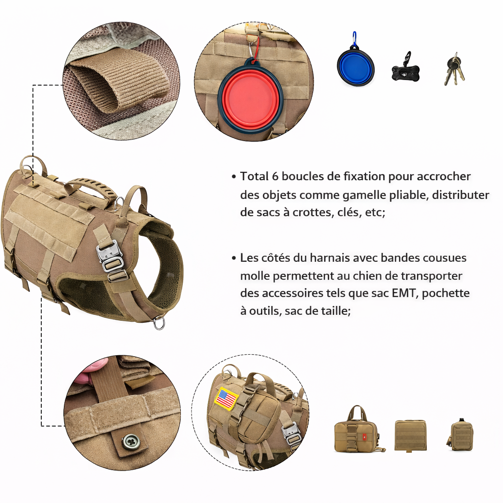 Harnais tactique militaire MOLLE grand chien — utilisation en patrouille ou pistage