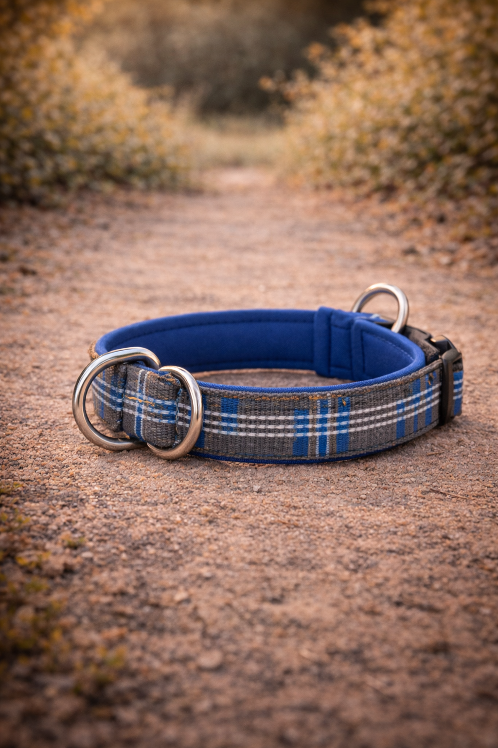 Collier semi-étrangleur anti-traction grand chien — grand chien portant le collier d'éducation