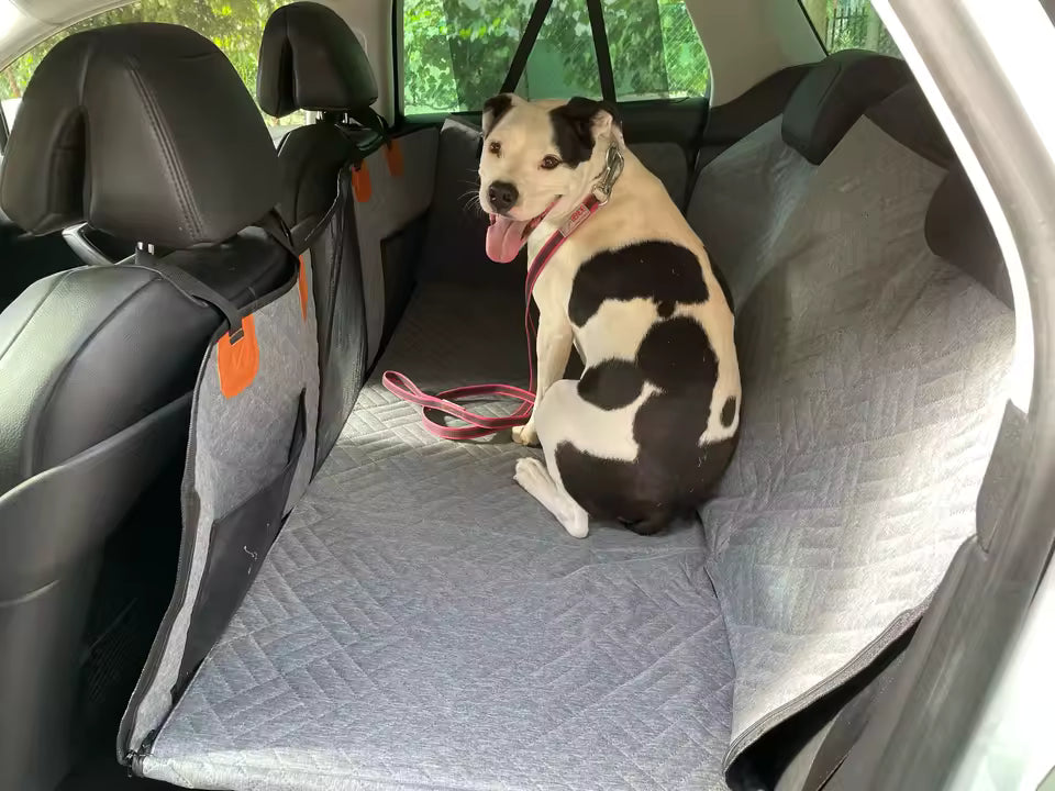 Plateforme voyage XL imperméable pour grand chien — protection intégrale de l'habitacle