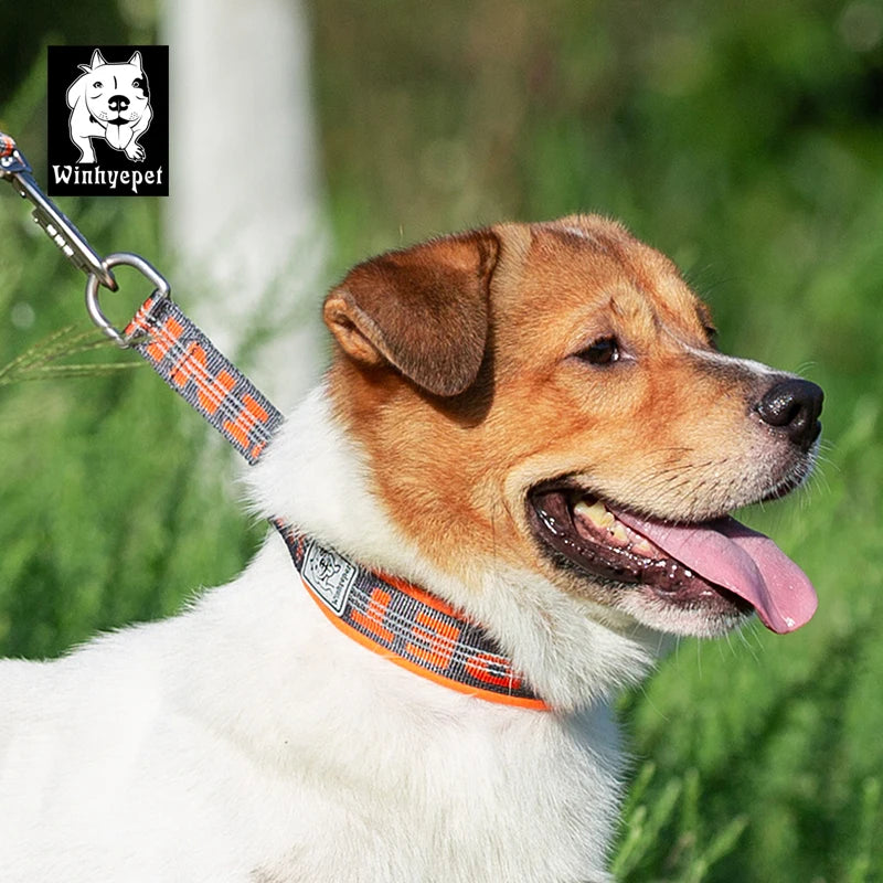 Collier semi-étrangleur anti-traction grand chien — anneau de fixation laisse en acier