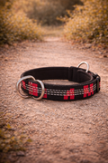Collier semi-étrangleur anti-traction grand chien — collier semi-étrangleur vue principale