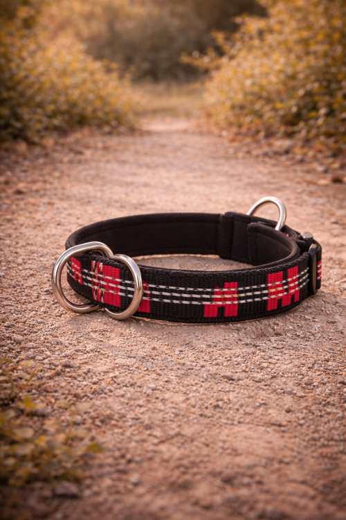 Collier semi-étrangleur anti-traction grand chien — collier semi-étrangleur vue principale