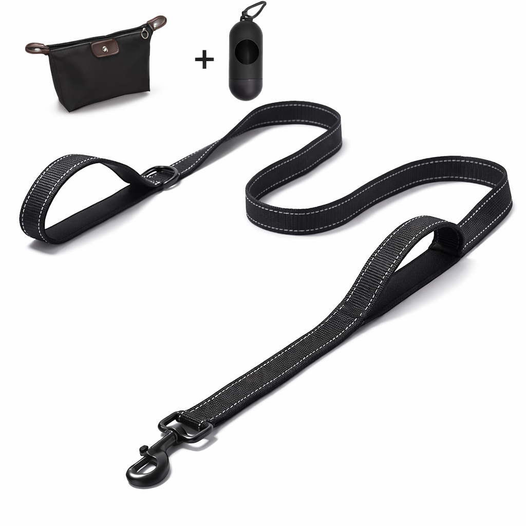 Laisse double poignée réfléchissante pour grand chien — utilisation en milieu urbain sécurisée